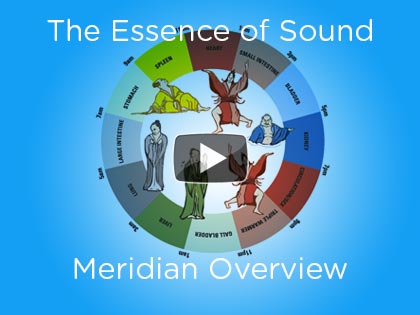 Meridian Tracing Flow Wheel Chart