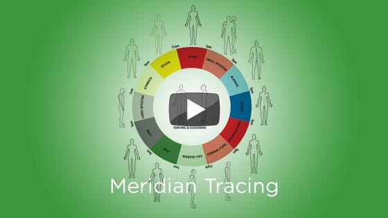 Meridian Tracing Flow Wheel Chart